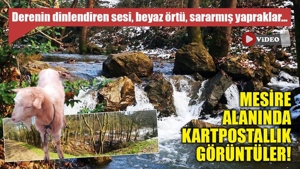 Mesire alanında kartpostallık görüntüler!